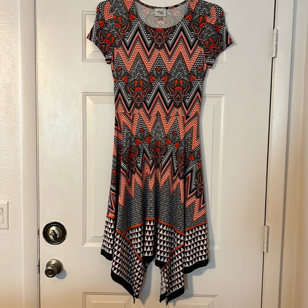 NWT Beautiful Fit and Flare Women’s Dress